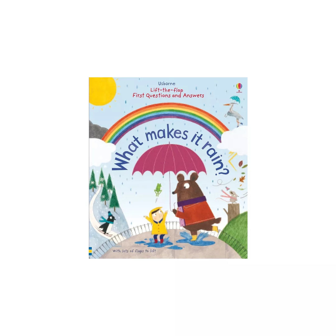 Flip- The - Flap First Questions and Answers What Makes it Rain  - Book
