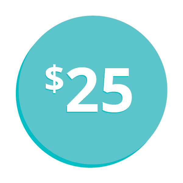 $25 Sale Item