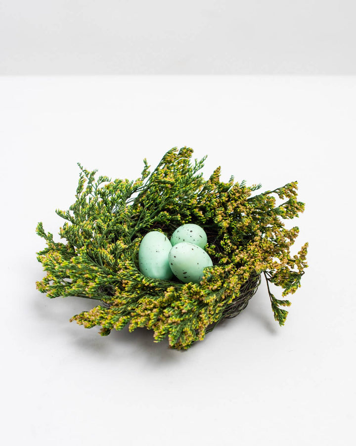 Robin Egg Nest -Green/Light Blue