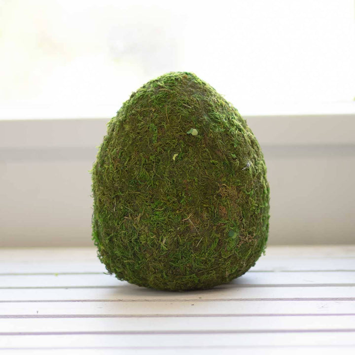 Moss Egg Decor   Green   8"