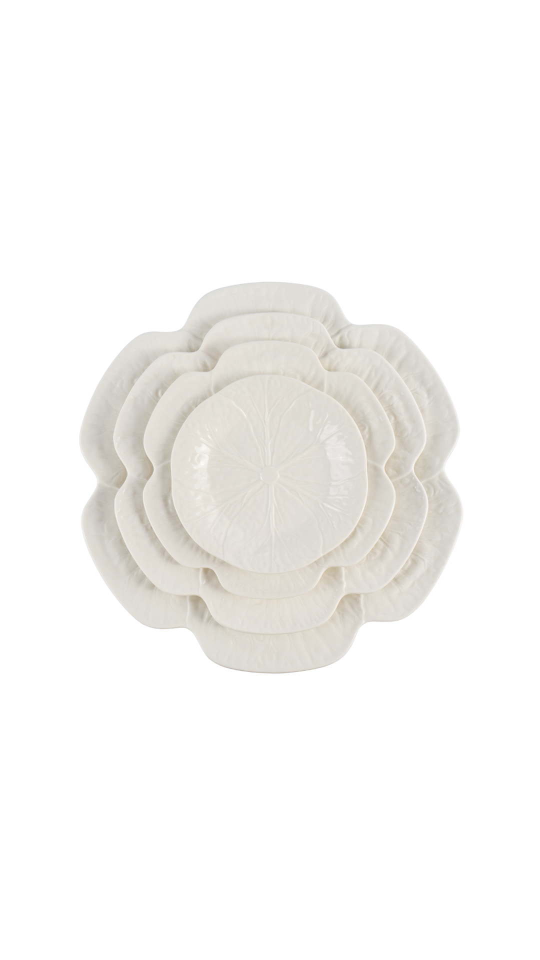 Ivory Cabbage Charger 13" - Set of 6