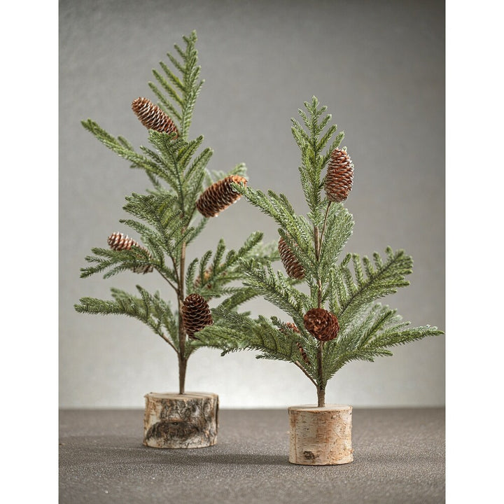 SPRUCE TREE WITH SMALL PINECONES ON BIRCH BASE 14", MIN 4