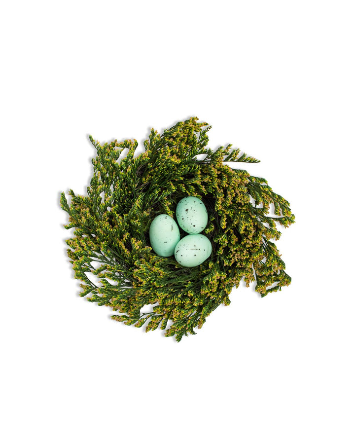 Robin Egg Nest -Green/Light Blue