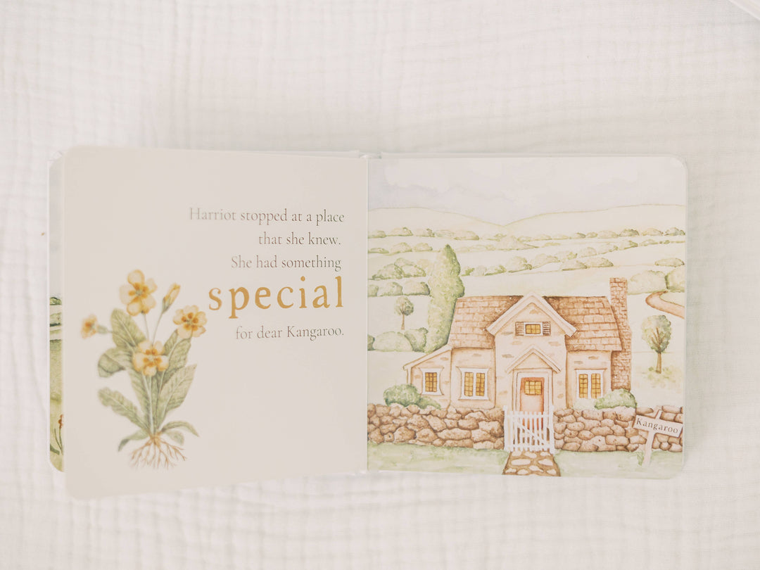 Harriot Hare: A Children's Board Book by Knox, Gold Foil