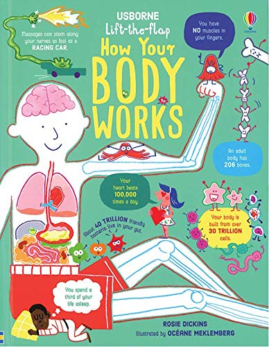 Lift-the-Flap How Your Body Works - Book