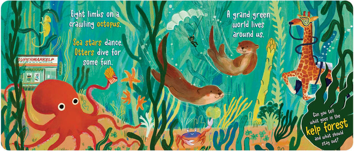 What Goes in the Ocean? by Dori Elys: Board Books; 16 pages / English