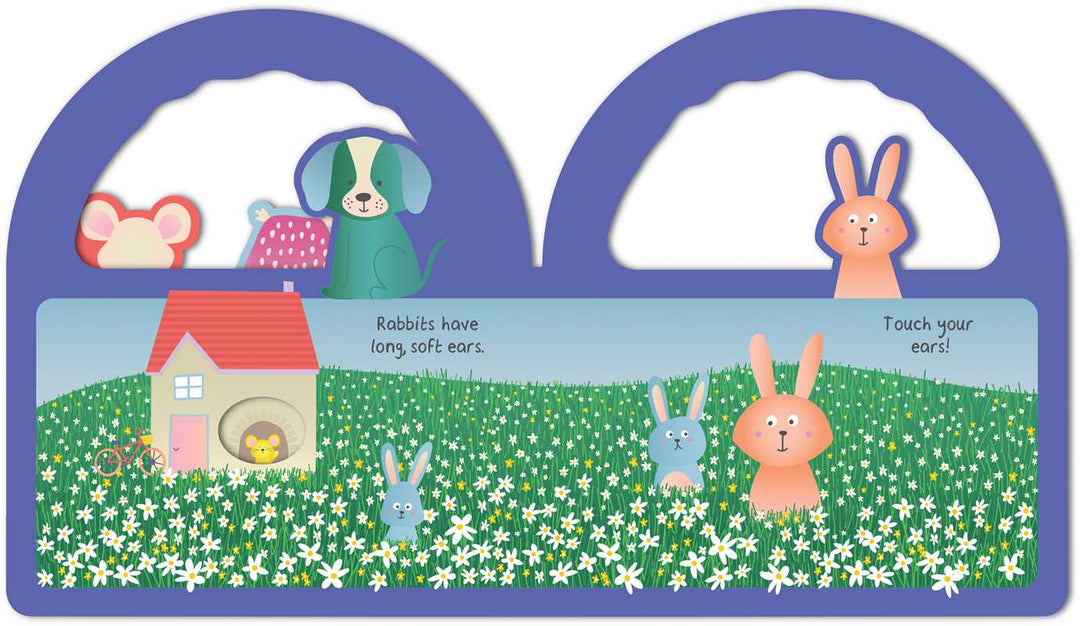 Eyes, Nose, Ears, Toes: My First Peek-a-Boo Book by