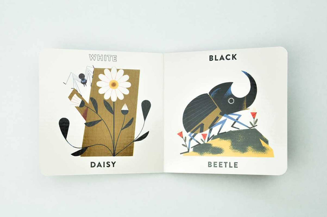 Babylink: Colors in the Garden by Marcos Farina: Board Books; 16 pages / English