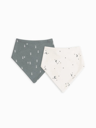 Organic Cotton Bib Set (2-pack) in a Variety of Colors