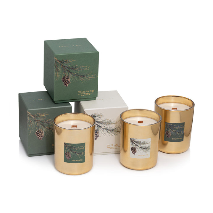 Siberian Fir Gold Wood Wick Candle in Gift Box - Holiday Green