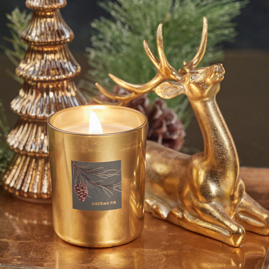 Siberian Fir Gold Wood Wick Candle in Gift Box - Pine Green