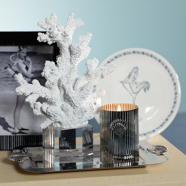 Cap Ferrat Fan Shell Design Candle in Gift Box - 8.25 oz - Nickel : Sea Salt