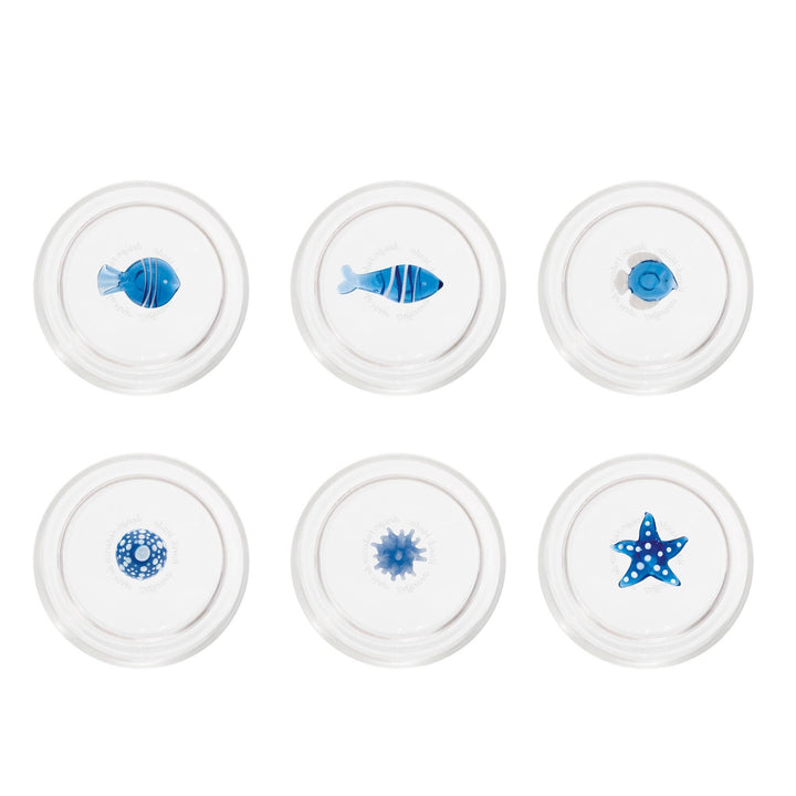 Teca Mare Tumbler Assorted Set of 6