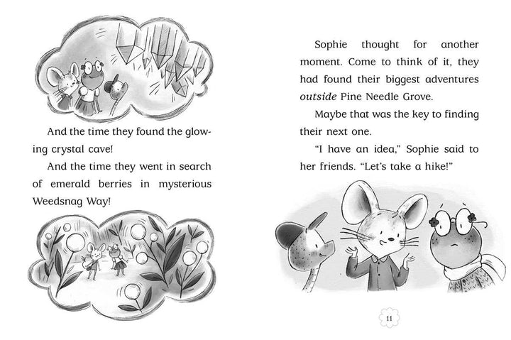 Hidden Cottage by Poppy Green: Hardcover; 128 pages / English