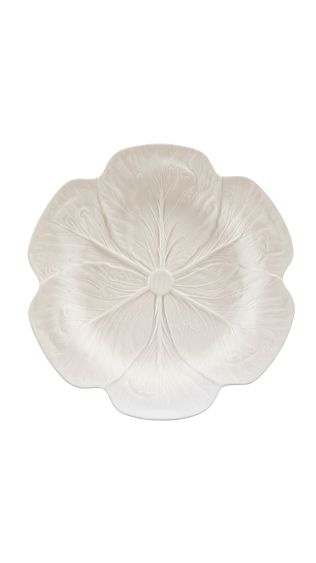 Ivory Cabbage Charger 13" - Set of 6