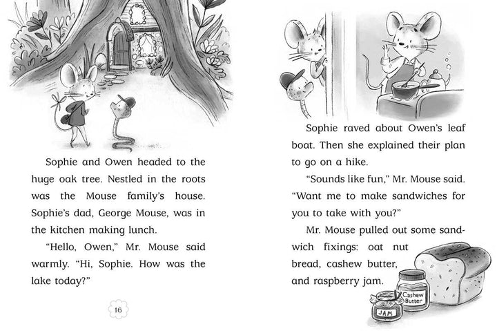 Hidden Cottage by Poppy Green: Hardcover; 128 pages / English