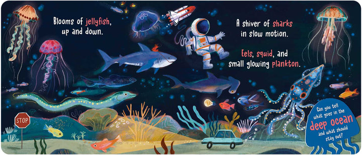 What Goes in the Ocean? by Dori Elys: Board Books; 16 pages / English