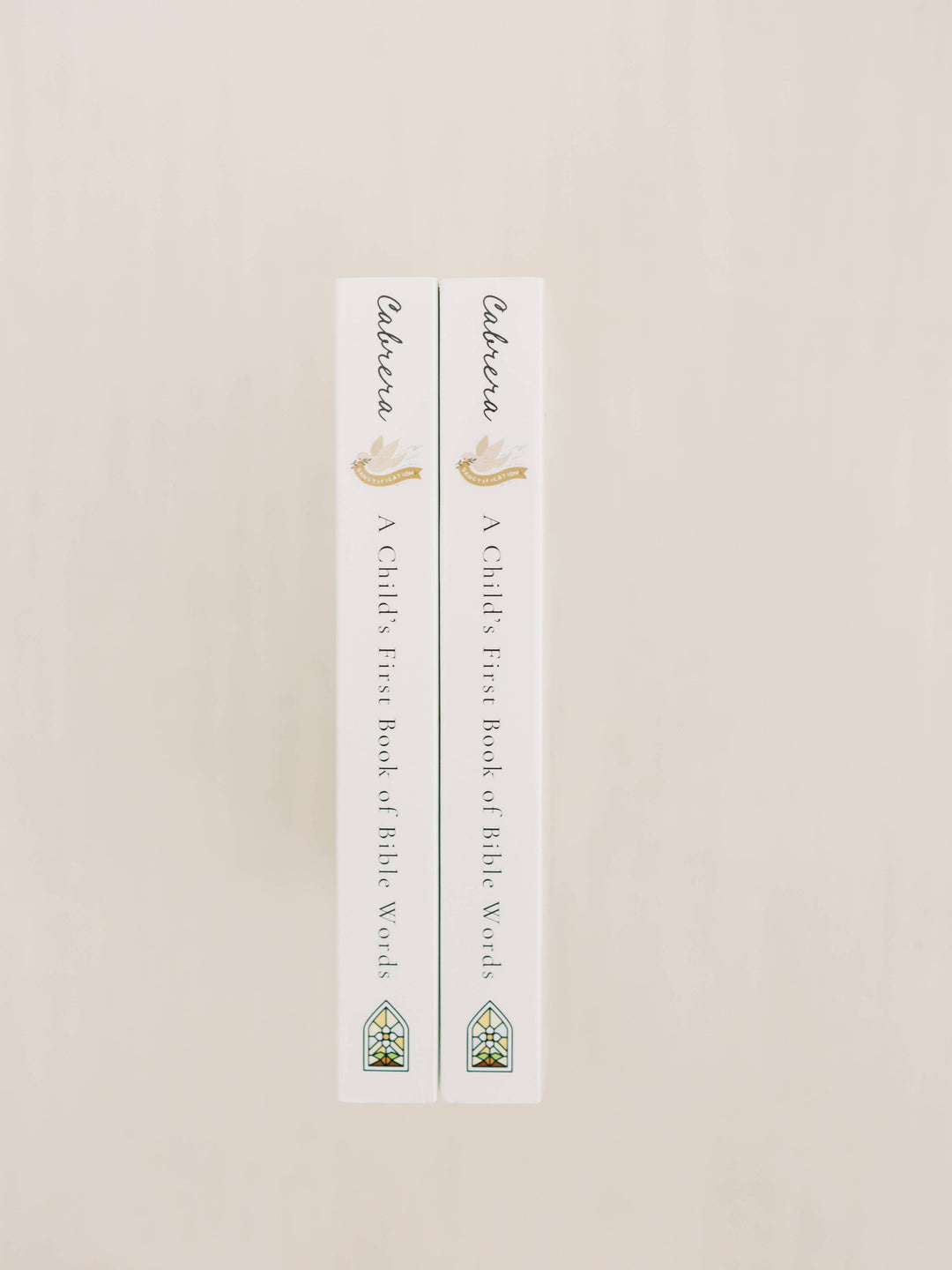 A Child's First Book of Bible Words